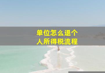 单位怎么退个人所得税流程