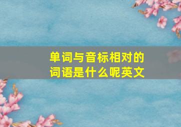 单词与音标相对的词语是什么呢英文