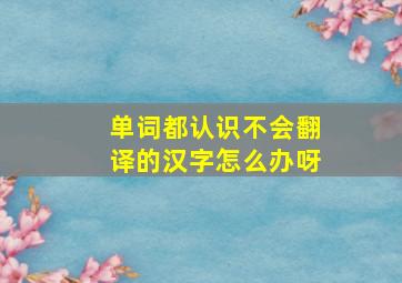 单词都认识不会翻译的汉字怎么办呀