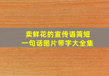 卖鲜花的宣传语简短一句话图片带字大全集