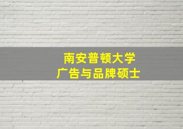 南安普顿大学广告与品牌硕士