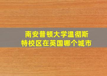 南安普顿大学温彻斯特校区在英国哪个城市