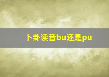 卜卦读音bu还是pu