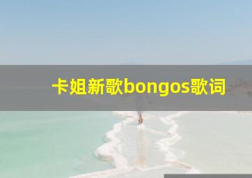 卡姐新歌bongos歌词