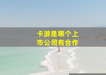 卡游是哪个上市公司有合作