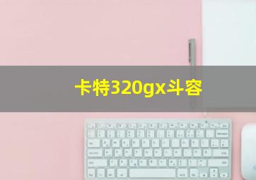 卡特320gx斗容