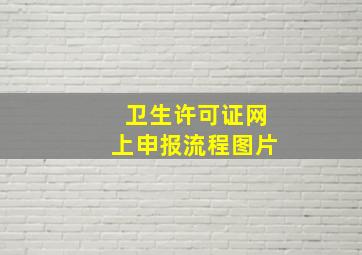 卫生许可证网上申报流程图片