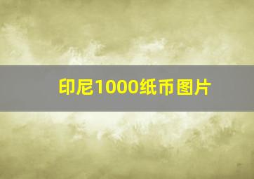 印尼1000纸币图片