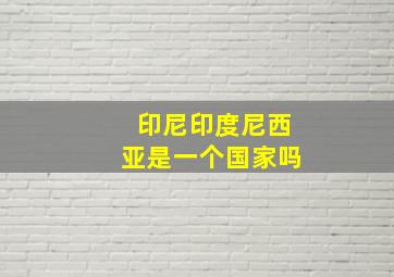 印尼印度尼西亚是一个国家吗