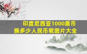 印度尼西亚1000盾币换多少人民币呢图片大全