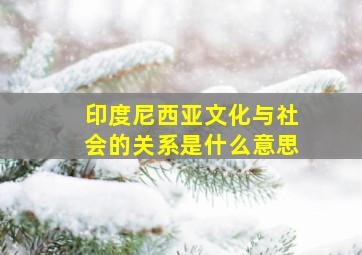 印度尼西亚文化与社会的关系是什么意思