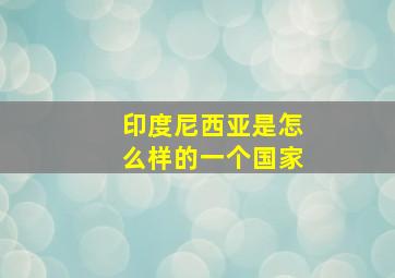 印度尼西亚是怎么样的一个国家