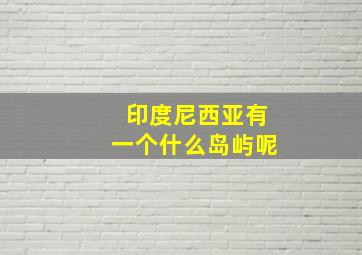 印度尼西亚有一个什么岛屿呢