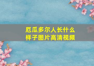 厄瓜多尔人长什么样子图片高清视频