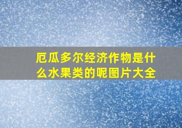 厄瓜多尔经济作物是什么水果类的呢图片大全