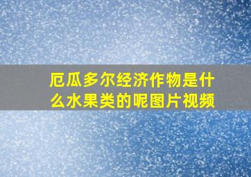 厄瓜多尔经济作物是什么水果类的呢图片视频