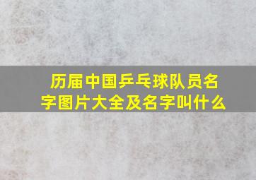 历届中国乒乓球队员名字图片大全及名字叫什么