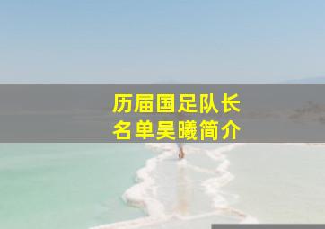 历届国足队长名单吴曦简介