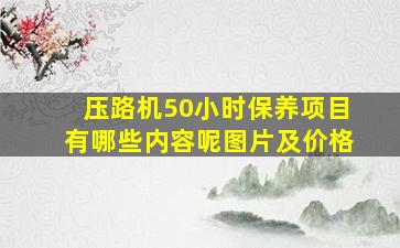 压路机50小时保养项目有哪些内容呢图片及价格