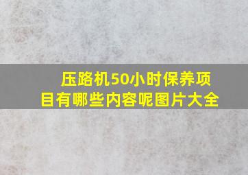 压路机50小时保养项目有哪些内容呢图片大全