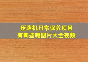 压路机日常保养项目有哪些呢图片大全视频