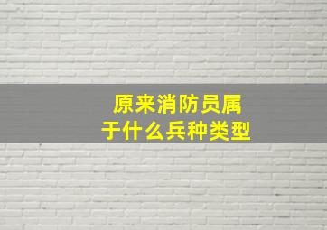 原来消防员属于什么兵种类型