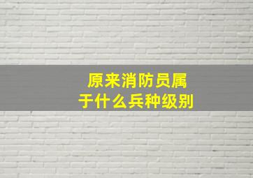 原来消防员属于什么兵种级别