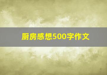 厨房感想500字作文