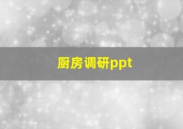 厨房调研ppt