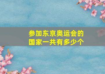 参加东京奥运会的国家一共有多少个