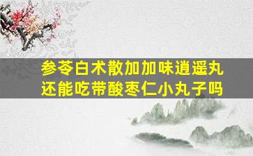 参苓白术散加加味逍遥丸还能吃带酸枣仁小丸子吗