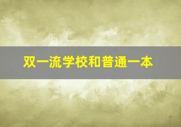 双一流学校和普通一本