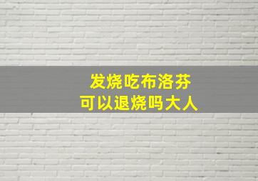 发烧吃布洛芬可以退烧吗大人