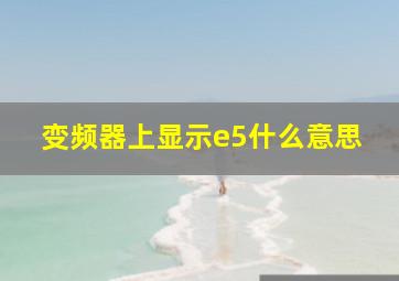 变频器上显示e5什么意思