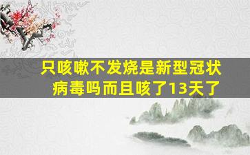 只咳嗽不发烧是新型冠状病毒吗而且咳了13天了