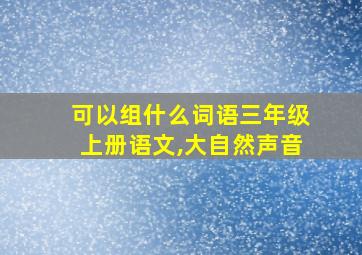 可以组什么词语三年级上册语文,大自然声音