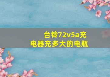 台铃72v5a充电器充多大的电瓶