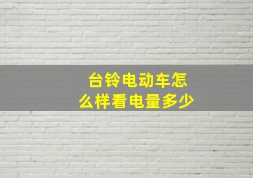 台铃电动车怎么样看电量多少