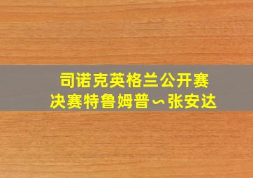 司诺克英格兰公开赛决赛特鲁姆普∽张安达