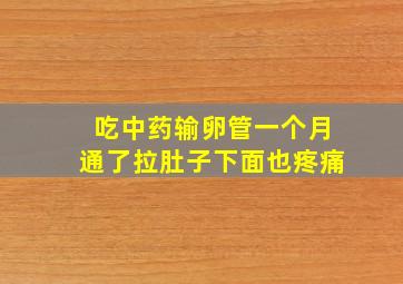 吃中药输卵管一个月通了拉肚子下面也疼痛