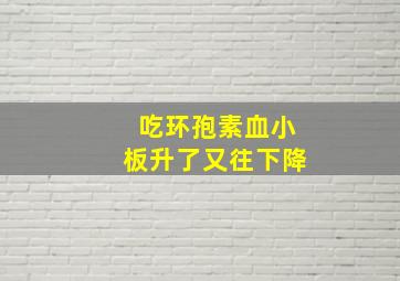 吃环孢素血小板升了又往下降