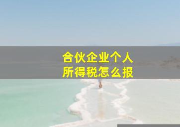 合伙企业个人所得税怎么报