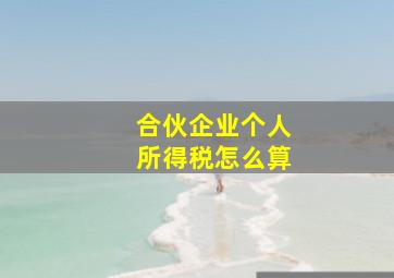 合伙企业个人所得税怎么算