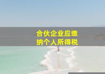 合伙企业应缴纳个人所得税