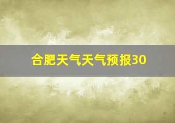 合肥天气天气预报30