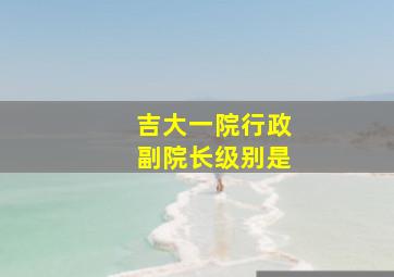 吉大一院行政副院长级别是