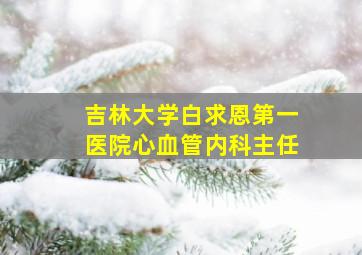 吉林大学白求恩第一医院心血管内科主任