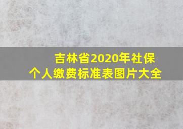 吉林省2020年社保个人缴费标准表图片大全