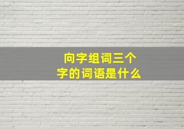 向字组词三个字的词语是什么