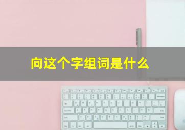 向这个字组词是什么